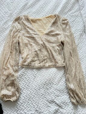 Sequin V-Neck Long Sleeve Crop Top in Champagne